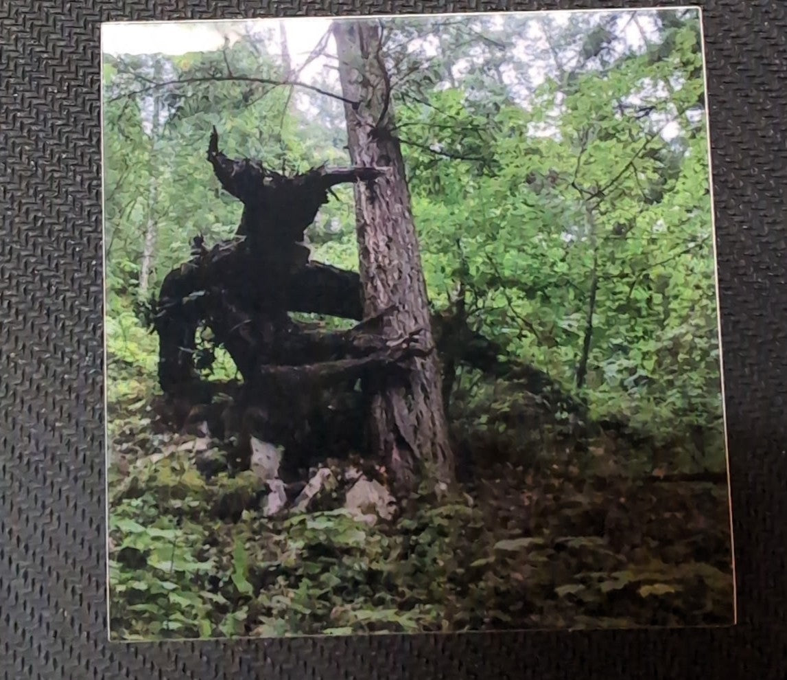 Devil Tree Sticker