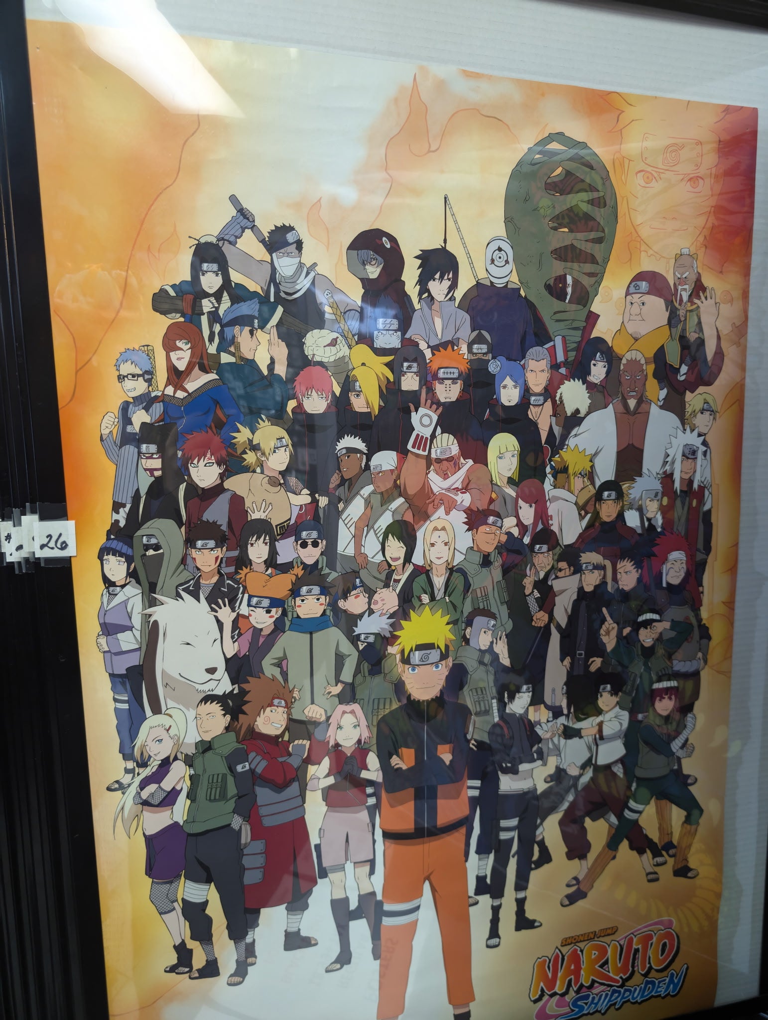 Anime Poster
