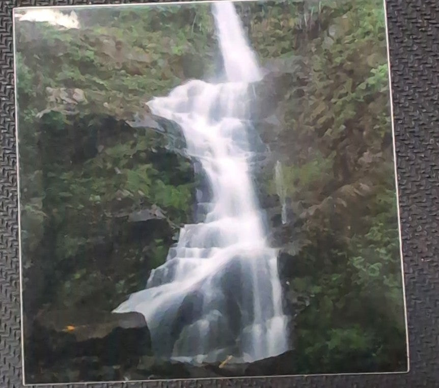 Flood Falls Sticker