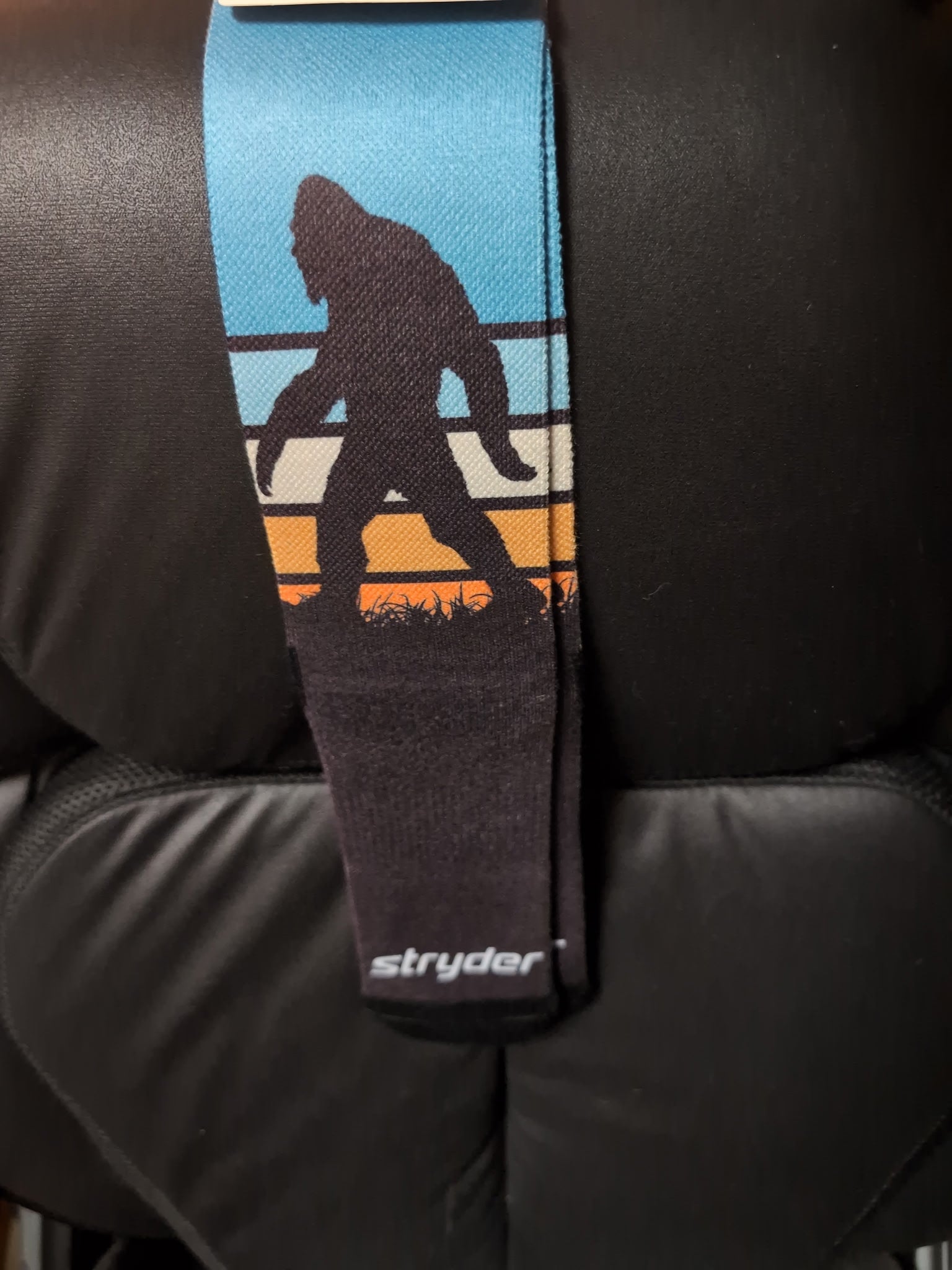 Custom Hope BC Sasquatch Socks