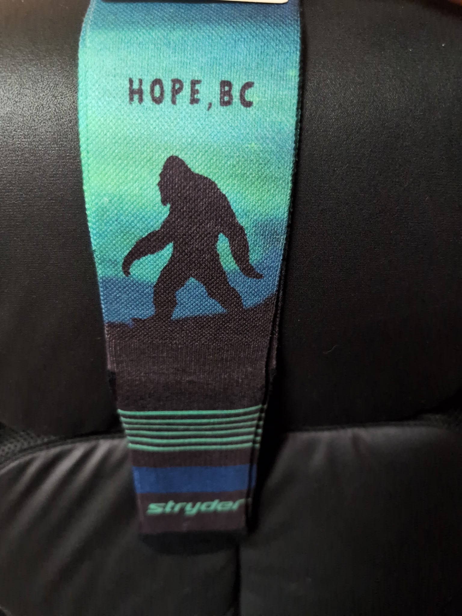 Custom Hope BC Sasquatch Socks
